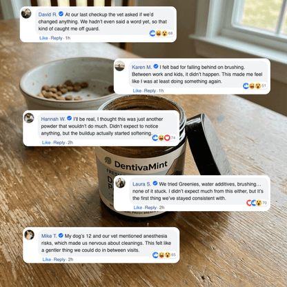 Natural Daily Dental Support