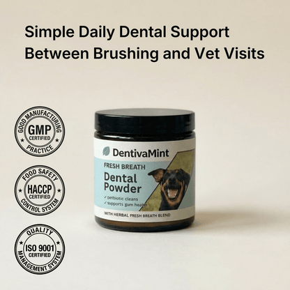 Natural Daily Dental Support