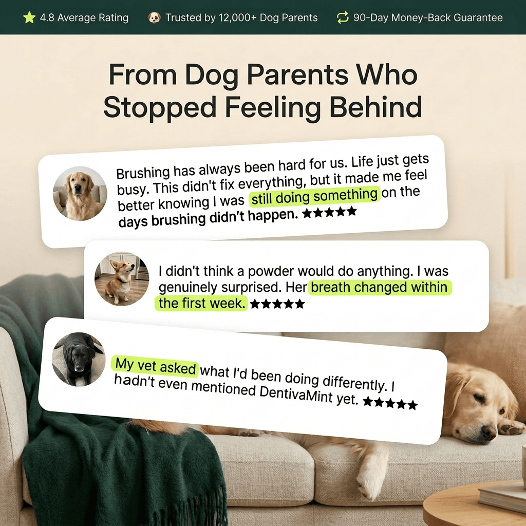 Sprinkle It On. The Rest Handles Itself.